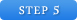 STEP5